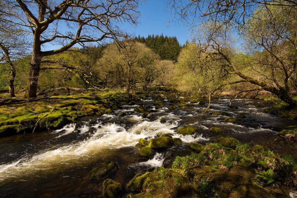 Charming Riverside Cottage In Snowdonia National Park Tanygrisiau 외부 사진
