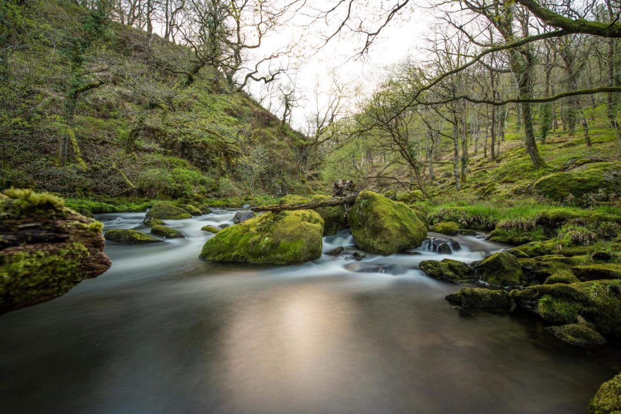 Charming Riverside Cottage In Snowdonia National Park Tanygrisiau 외부 사진